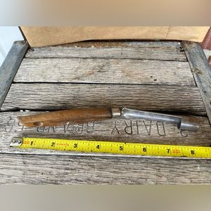 Vintage AA Fruit Corer Pitter Remover Kitchen Tool INOX France Wood Handle